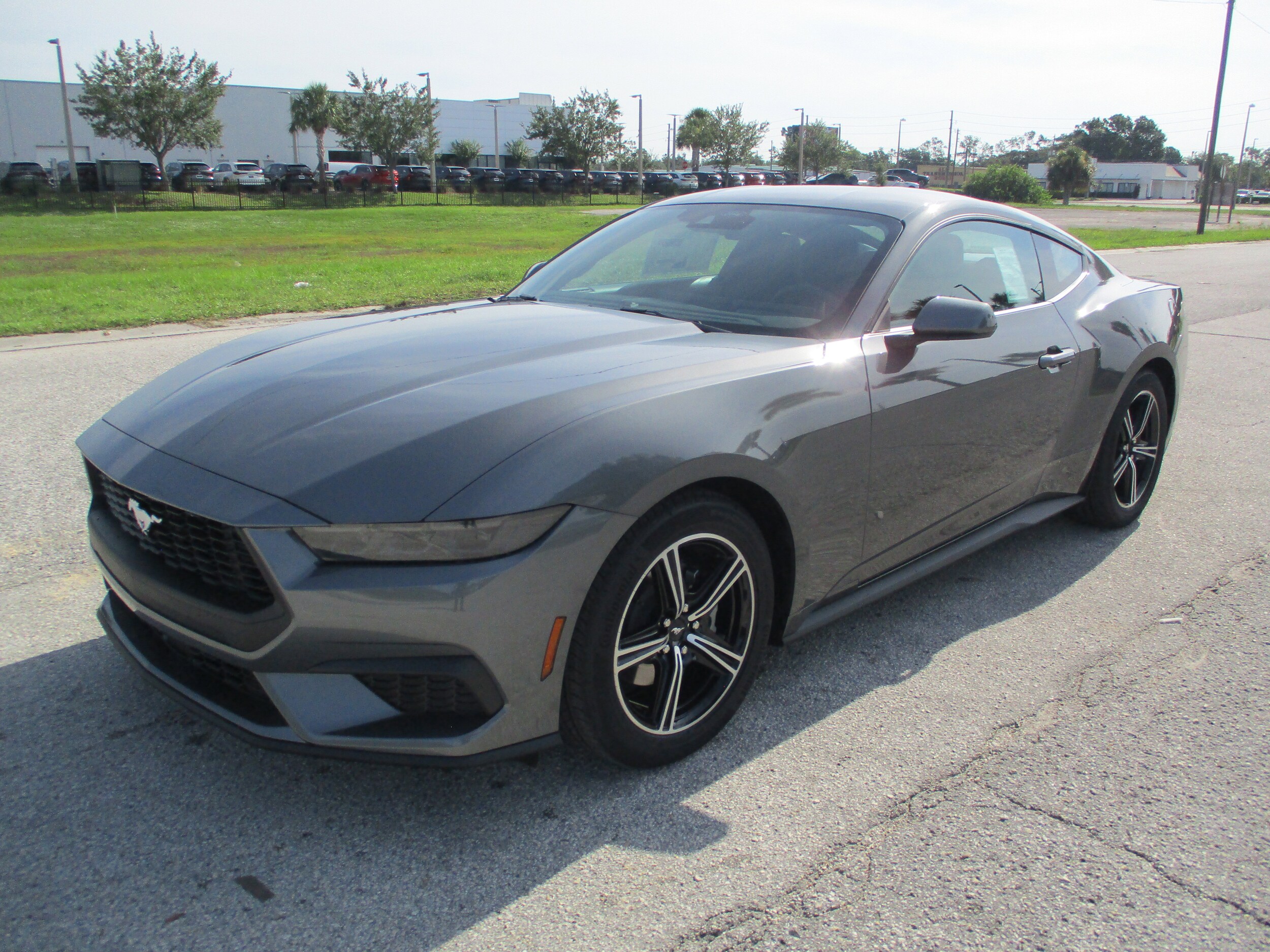 2025 Ford Mustang R EcoBoost photo 3