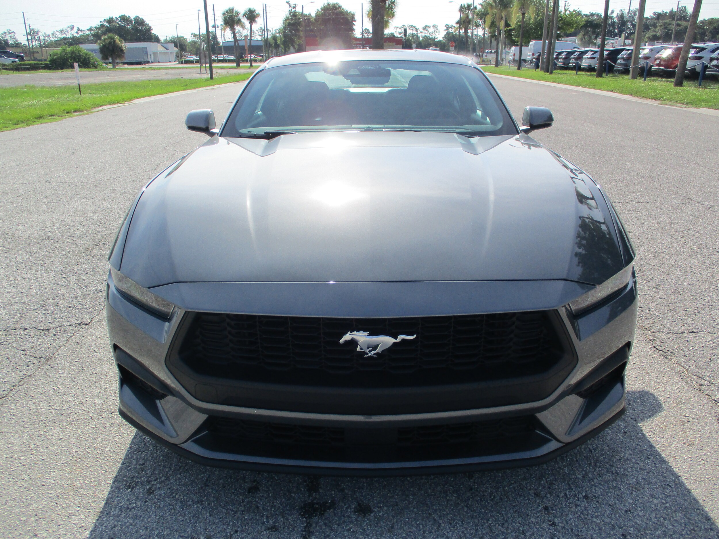 2025 Ford Mustang R EcoBoost photo 2