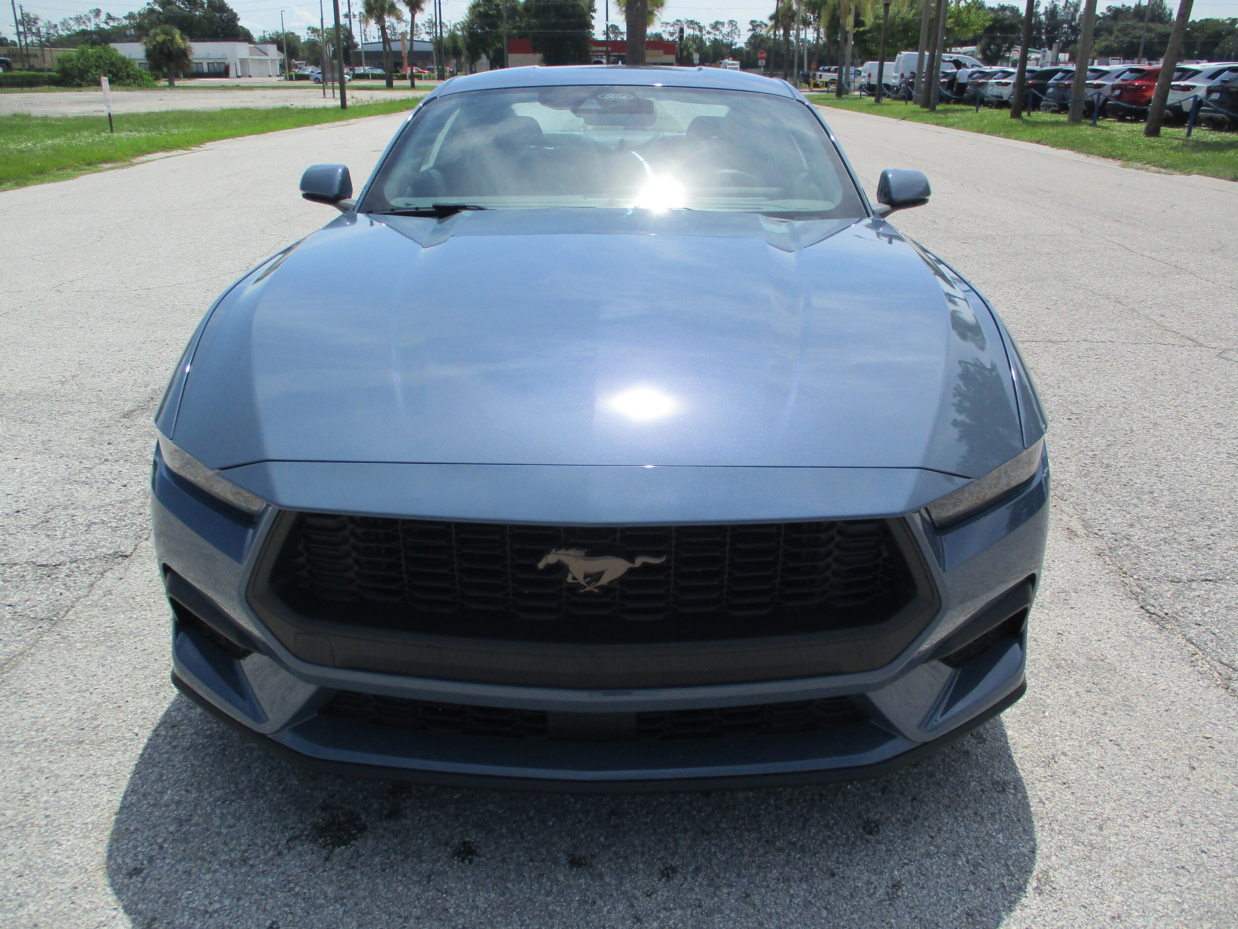 2025 Ford Mustang EcoBoost Premium photo 2