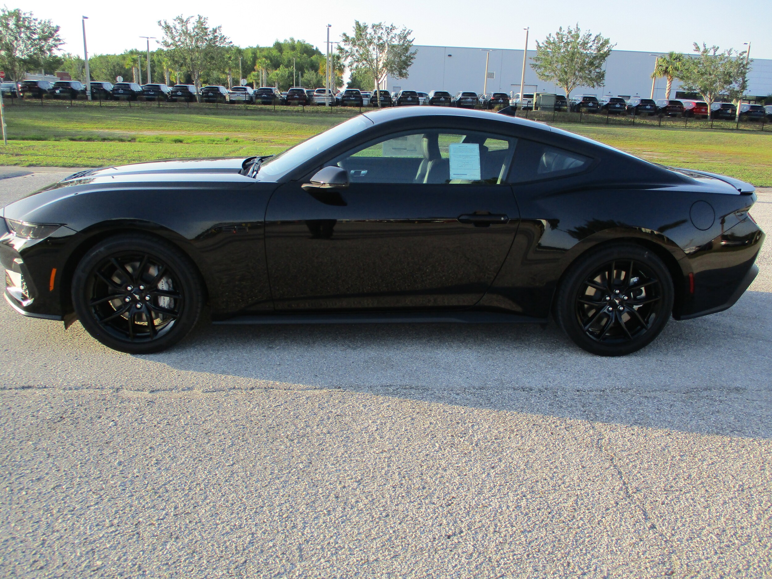 2025 Ford Mustang GT Premium photo 4