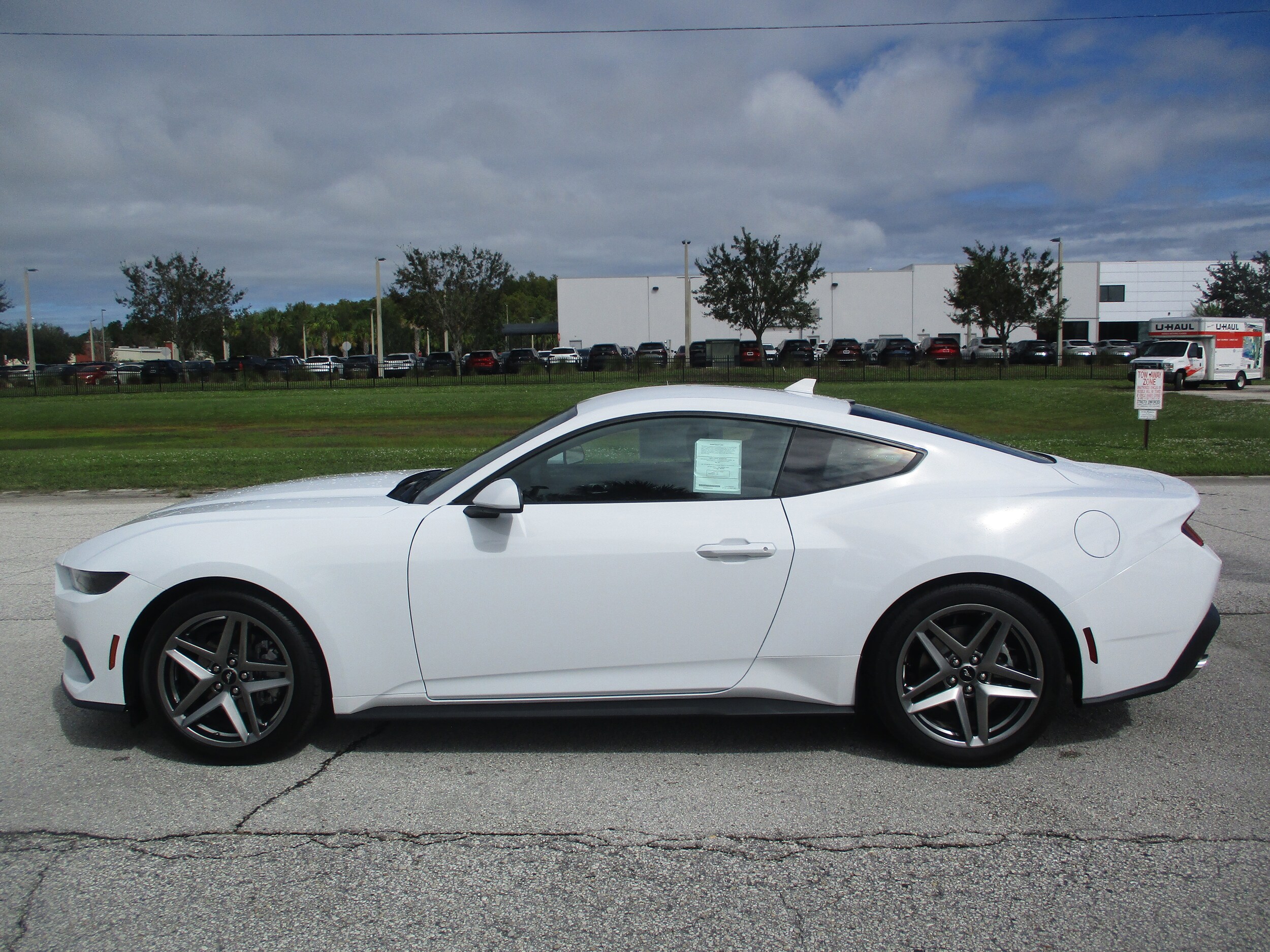 2025 Ford Mustang EcoBoost photo 2