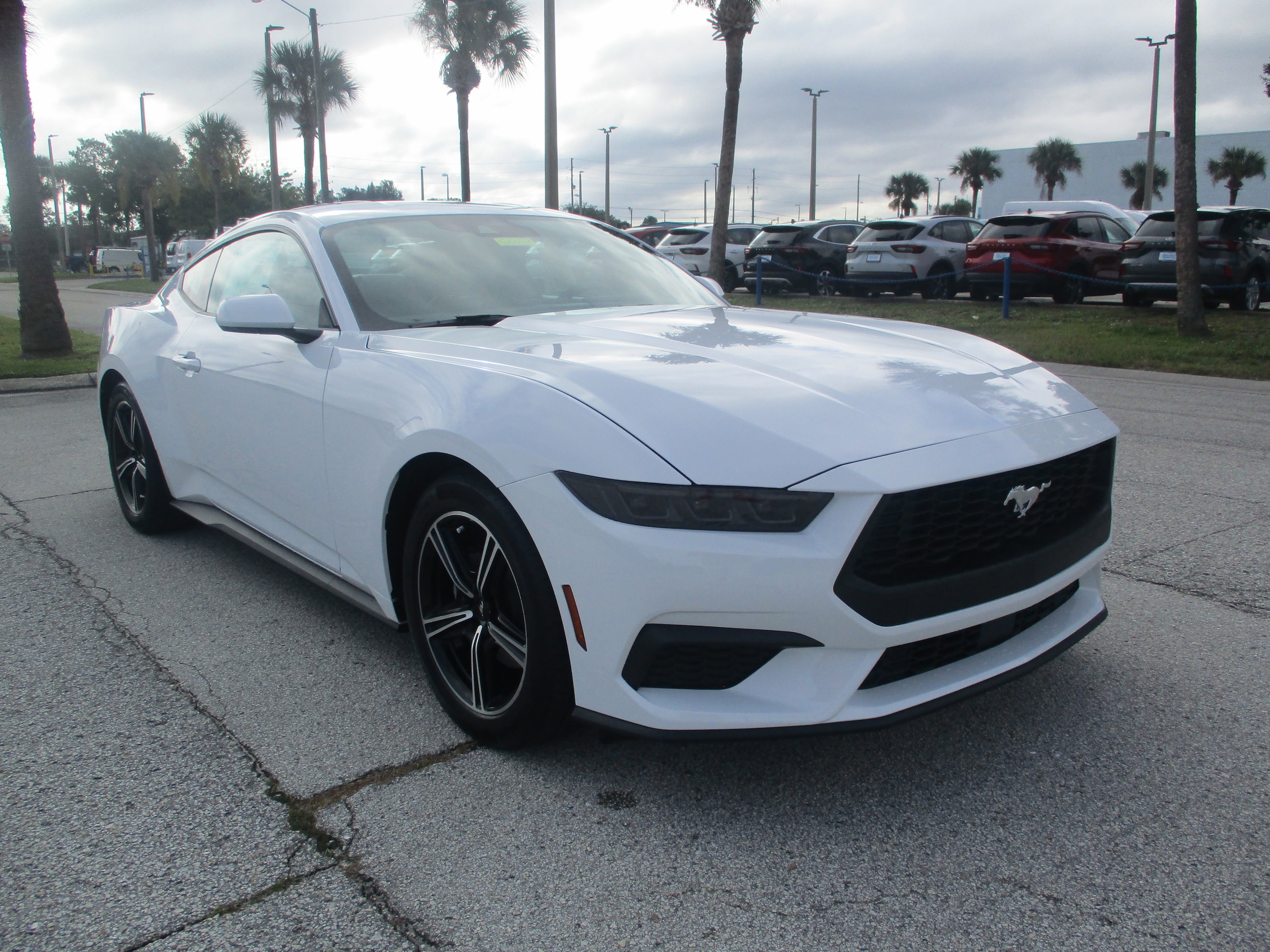 2025 Ford Mustang EcoBoost's photo