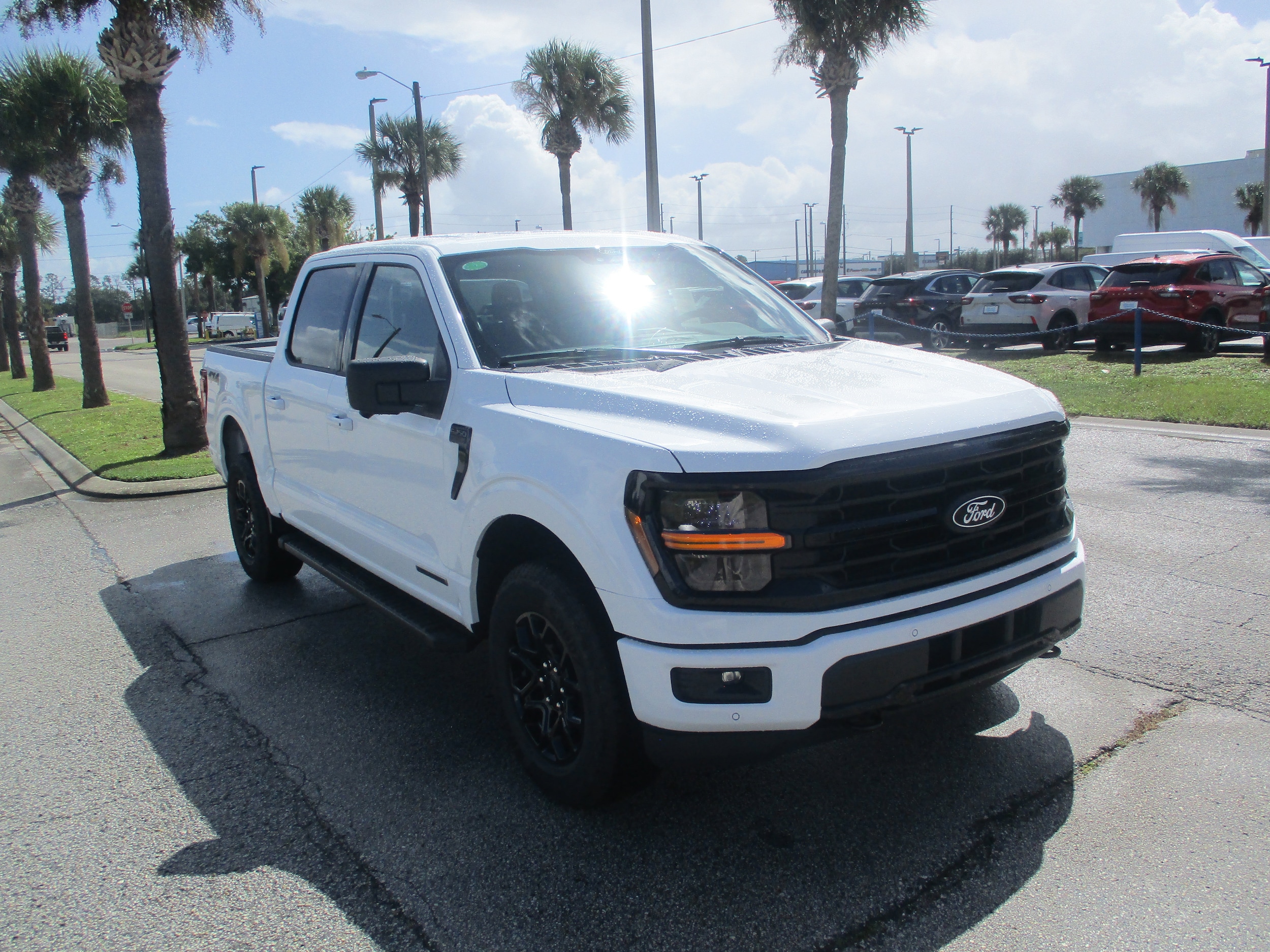2025 Ford F-150 XLT's photo