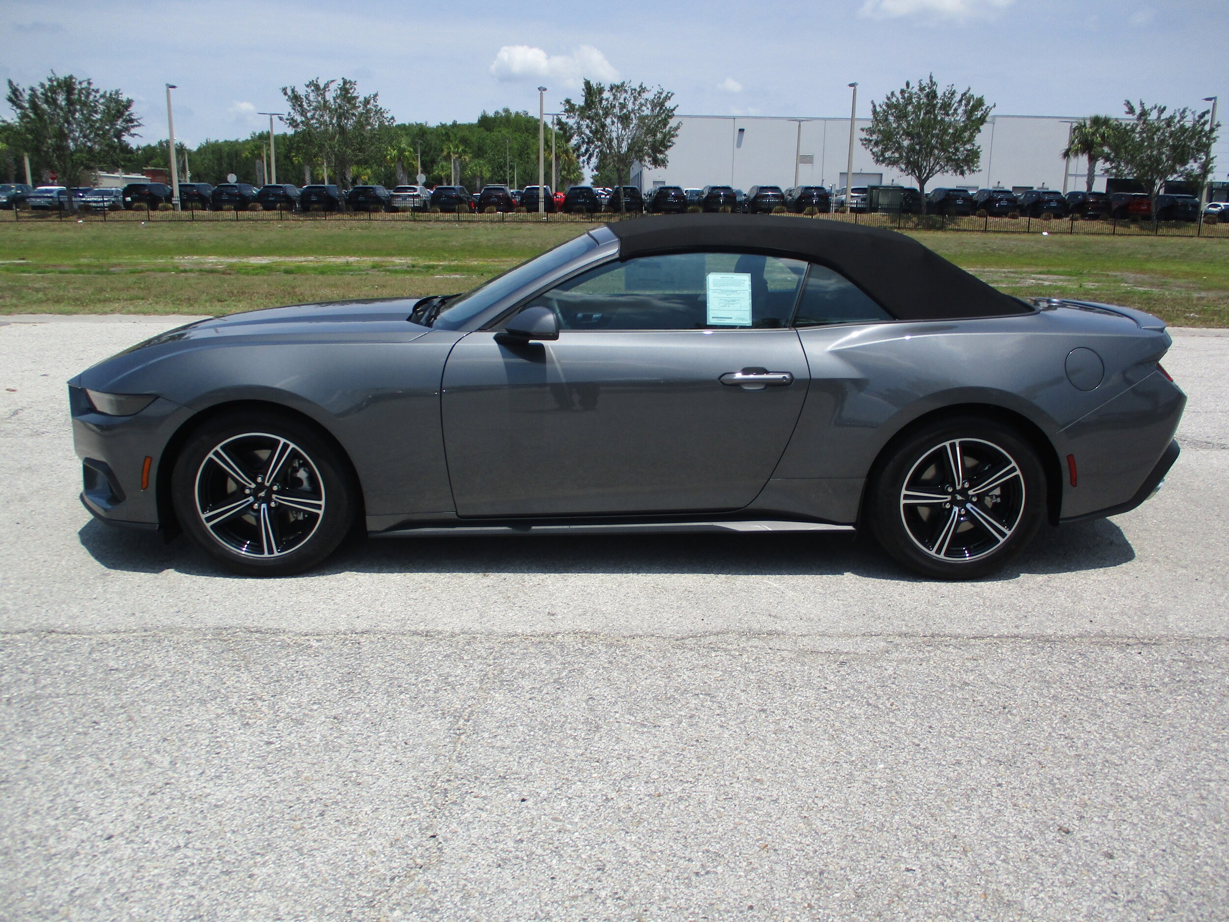 2025 Ford Mustang EcoBoost Premium Convertible photo 4