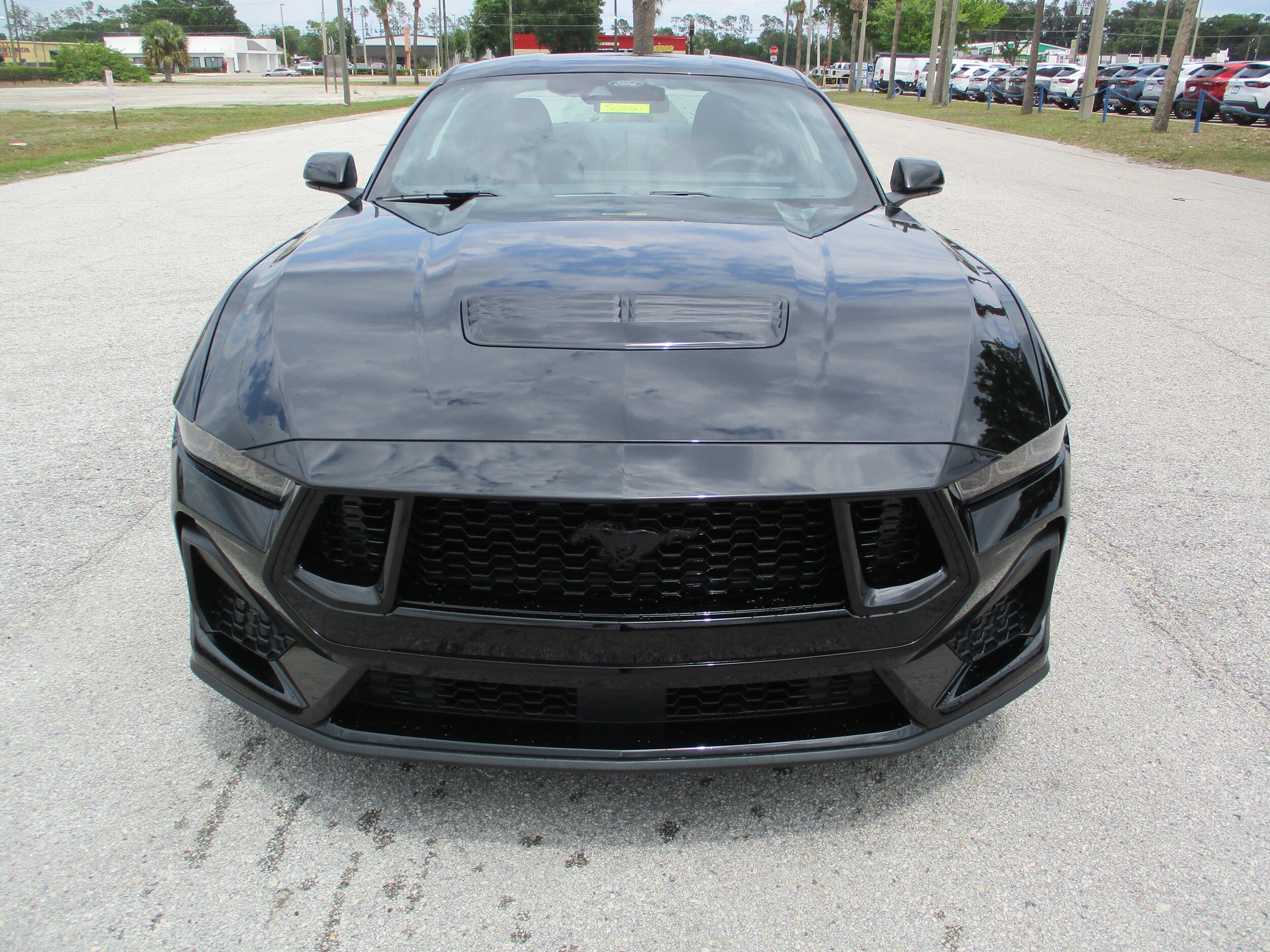 2025 Ford Mustang GT Premium photo 2