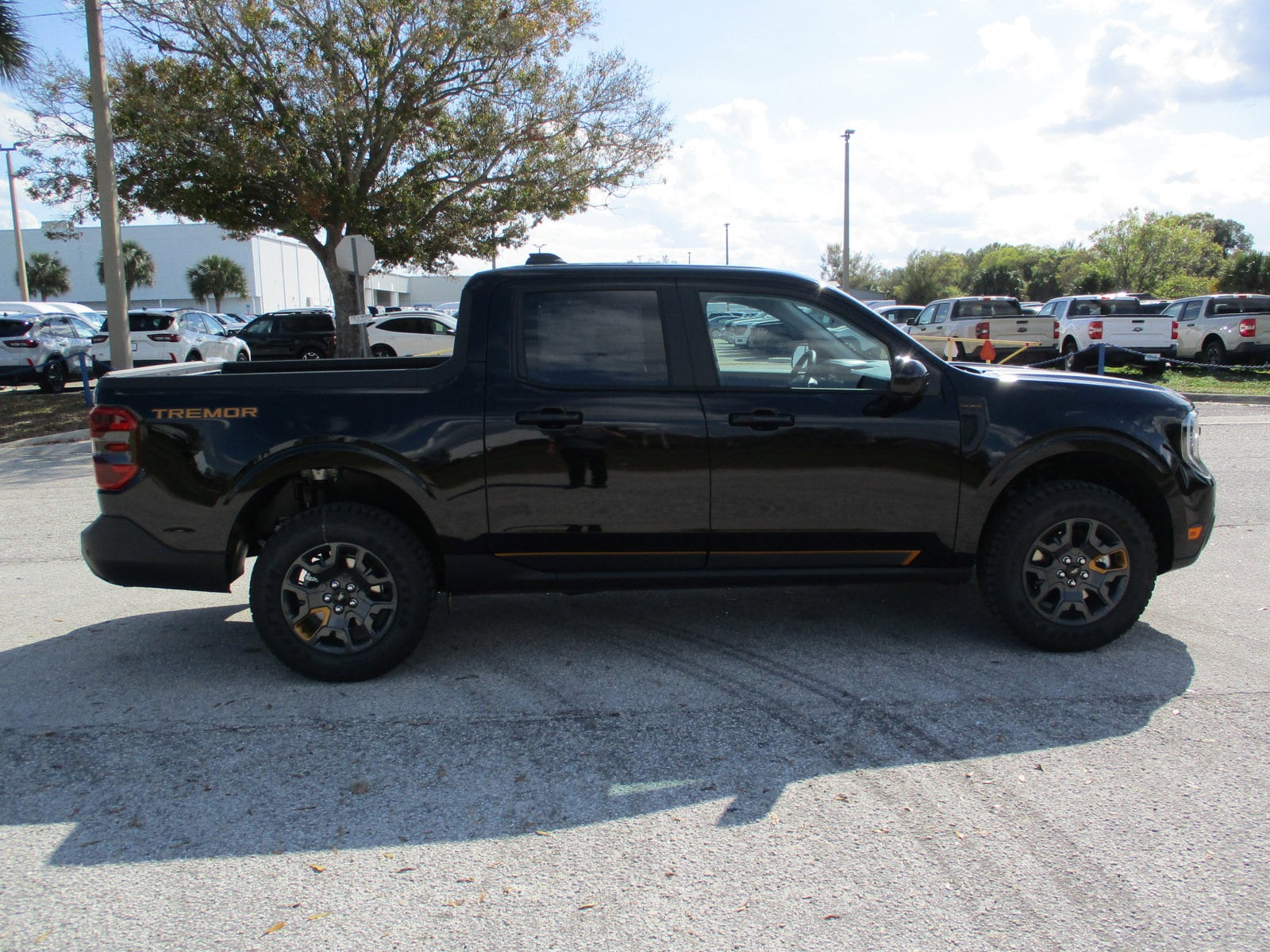 2025 Ford Maverick Tremor - Photo 8