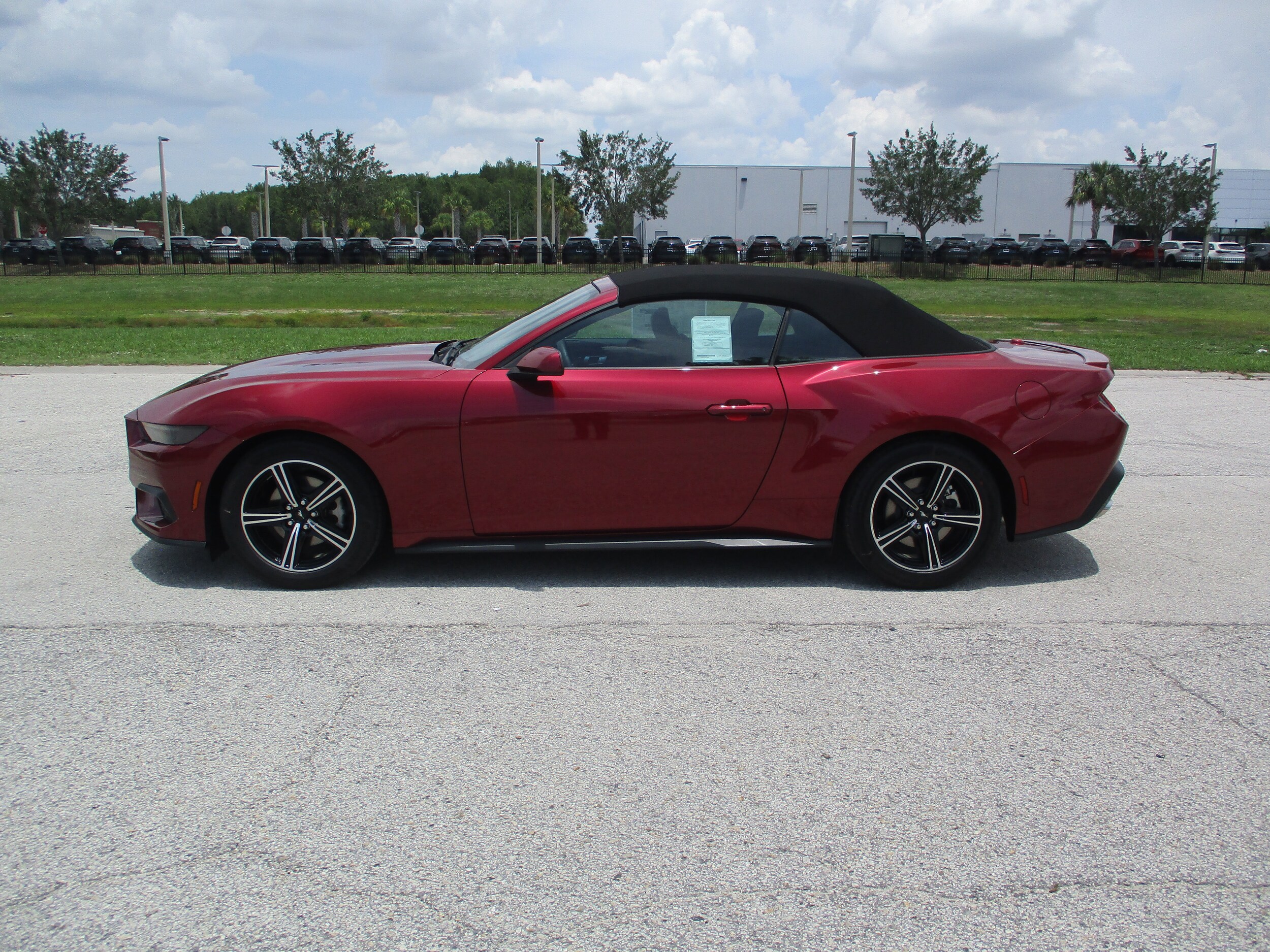 2025 Ford Mustang EcoBoost Premium Convertible photo 4