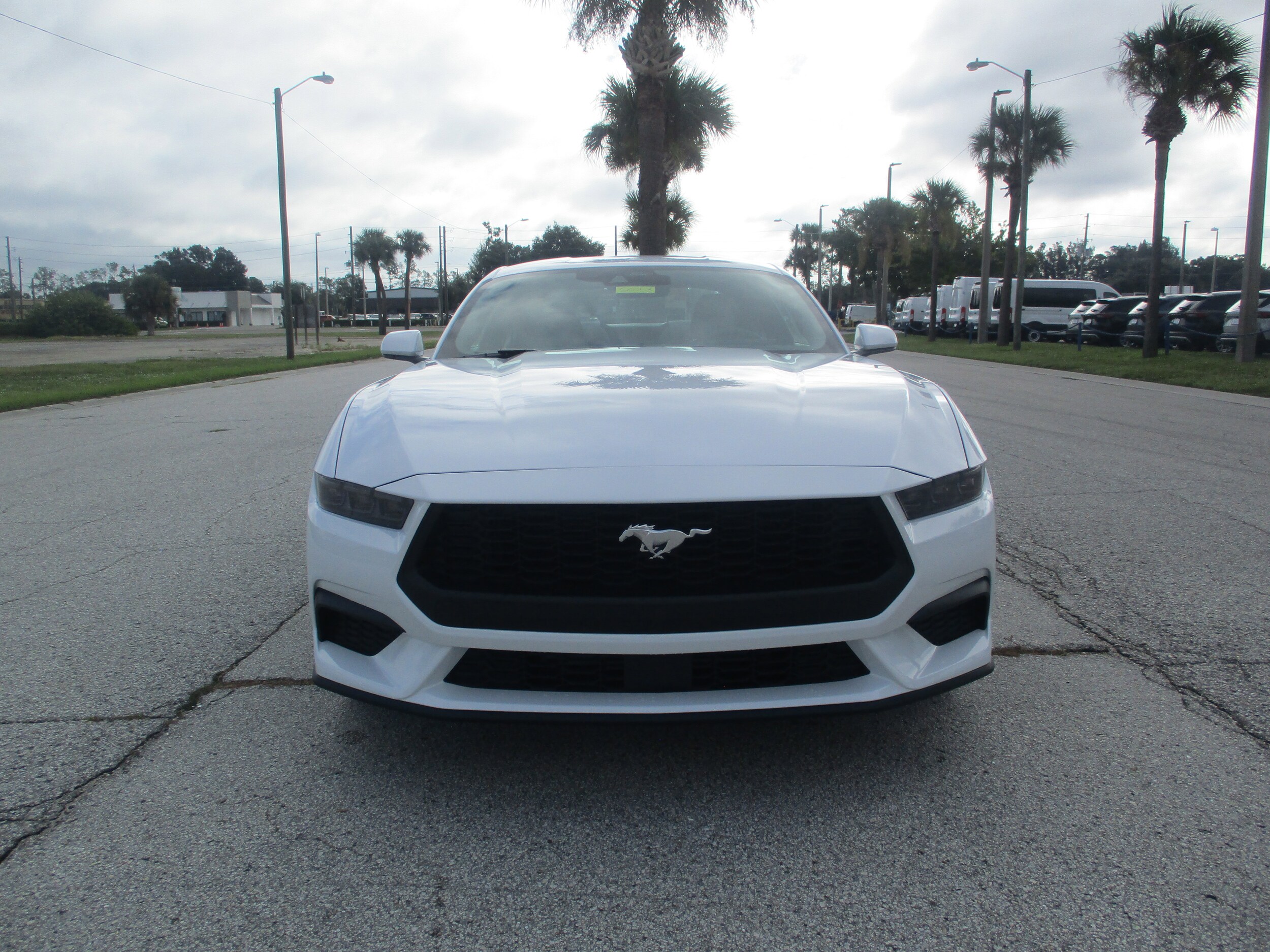 2025 Ford Mustang EcoBoost photo 2