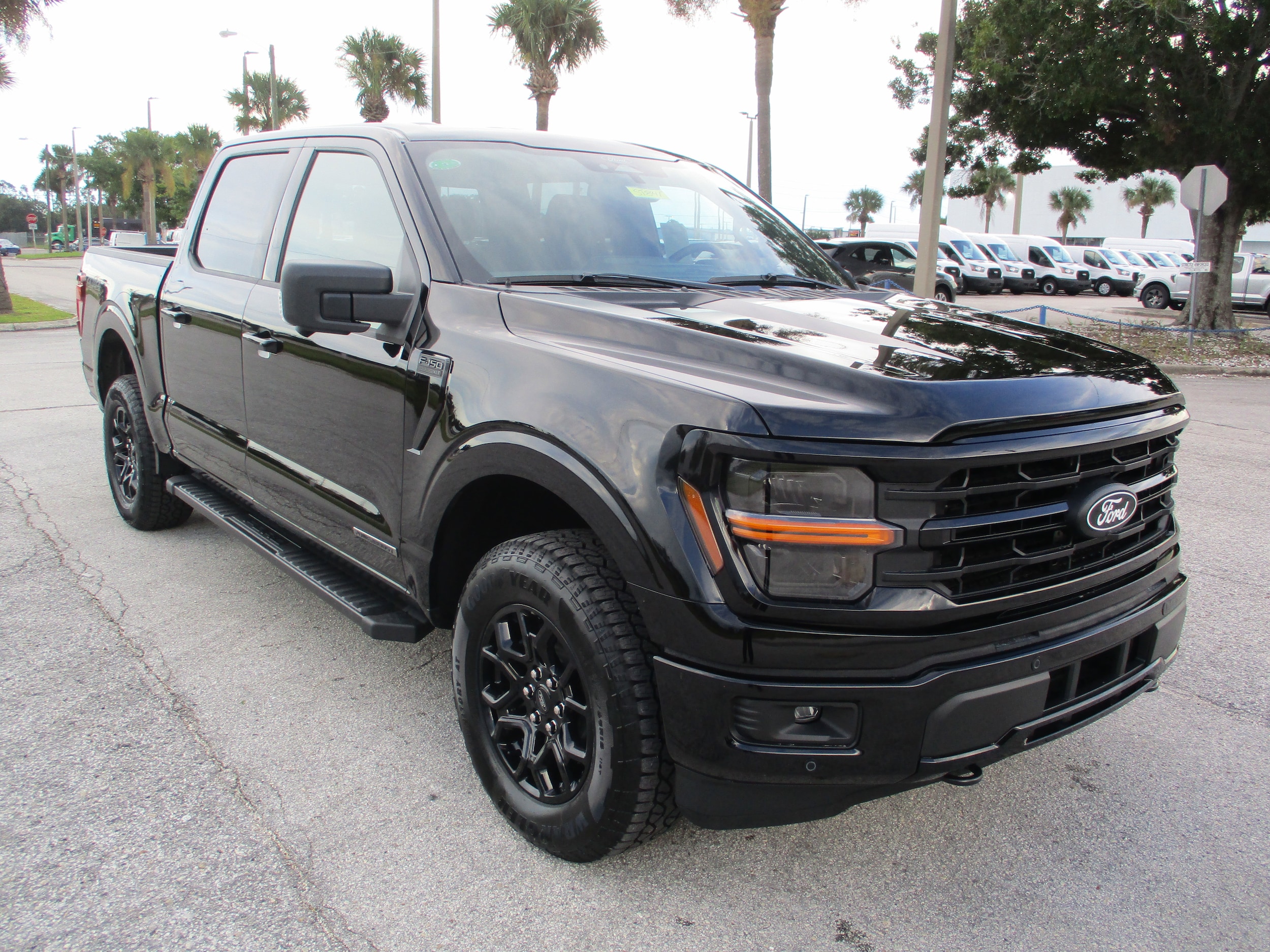 2025 Ford F-150 XLT's photo