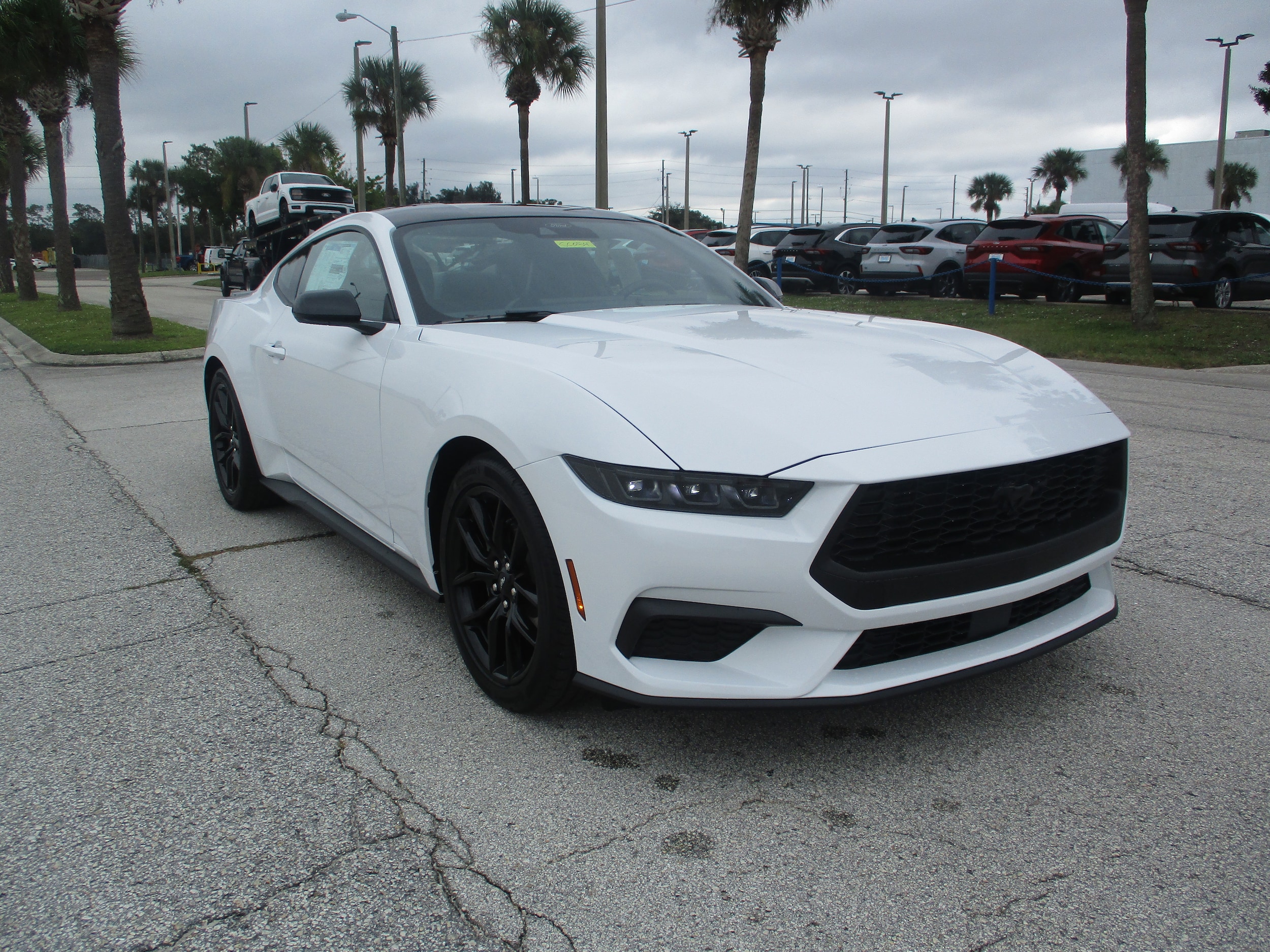 2025 Ford Mustang EcoBoost's photo