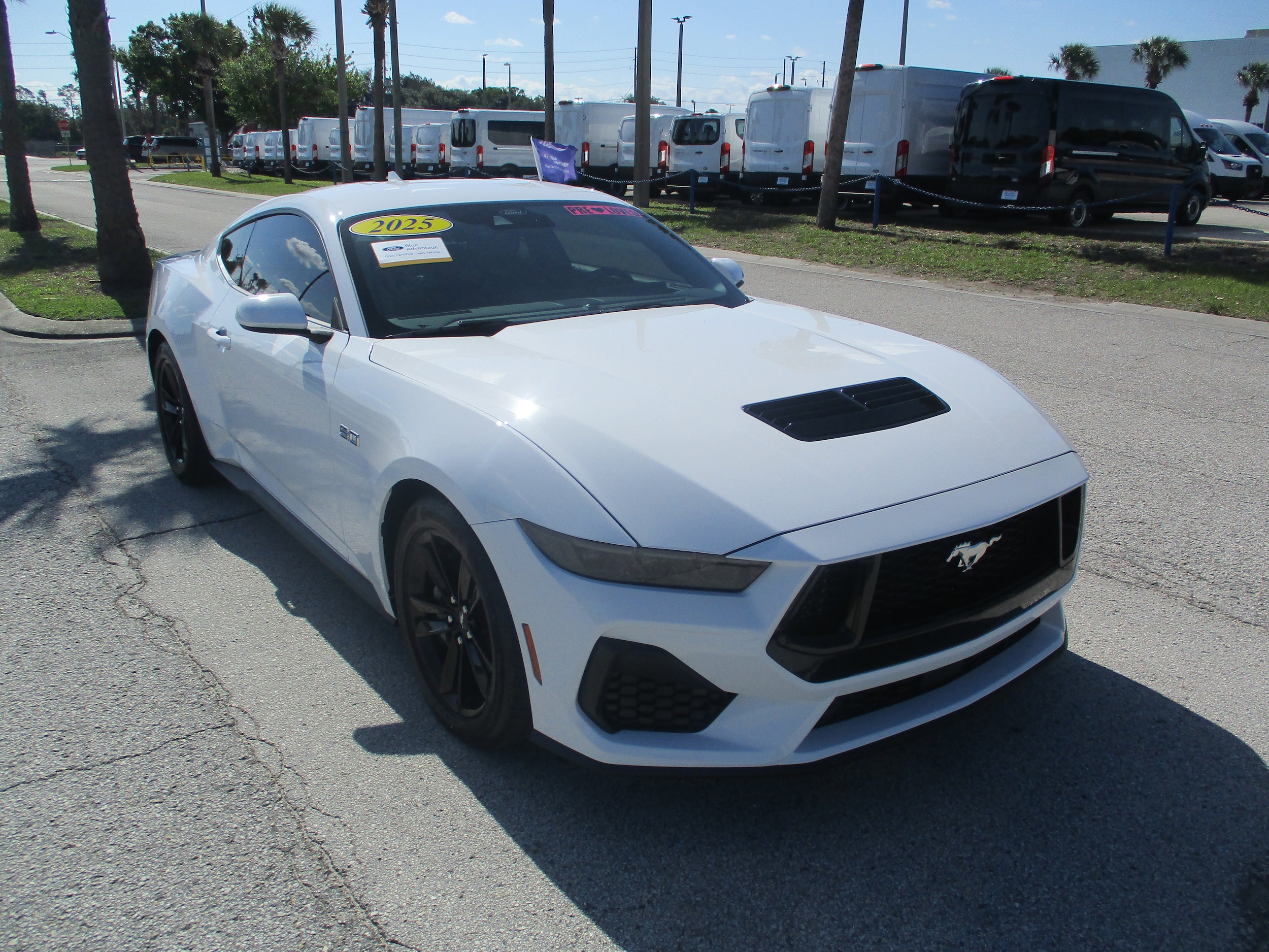 2025 Ford Mustang GT Fastback's photo