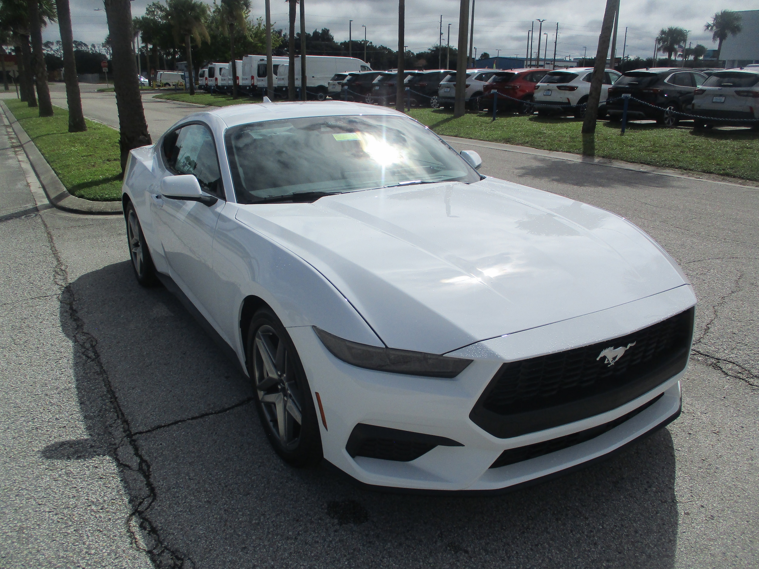 2025 Ford Mustang EcoBoost's photo