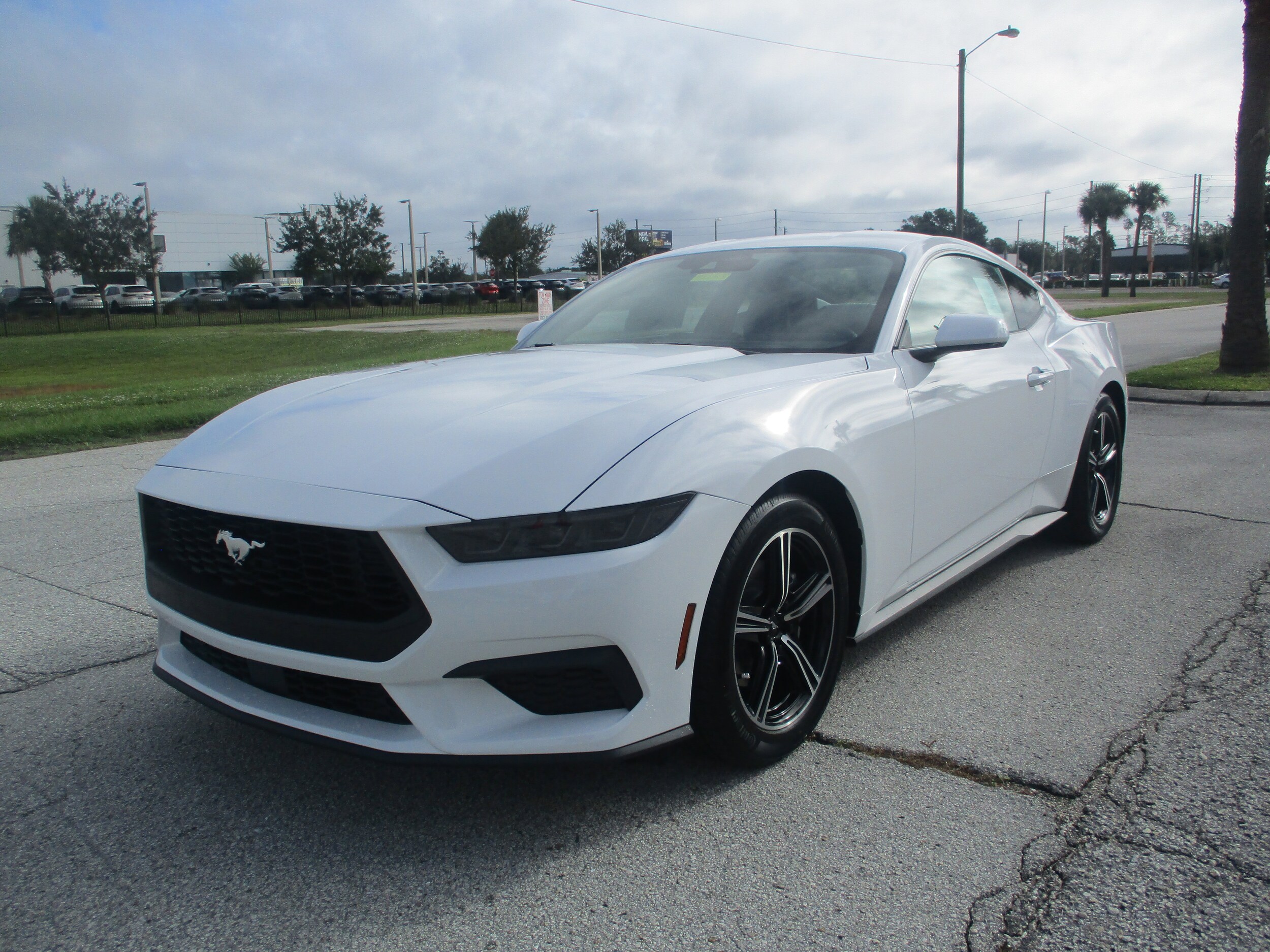 2025 Ford Mustang EcoBoost photo 3