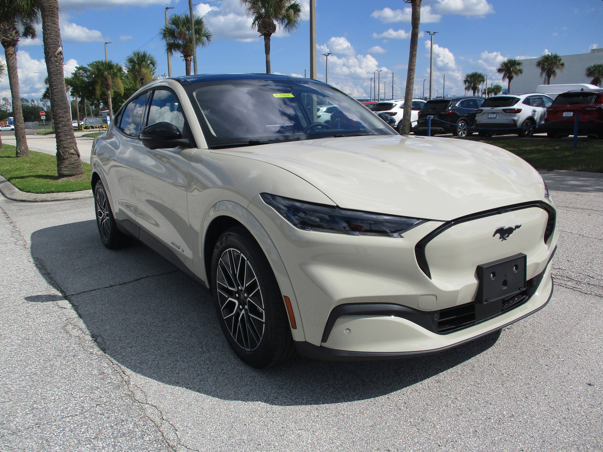 2025 Ford Mustang Mach-E Premium AWD's photo