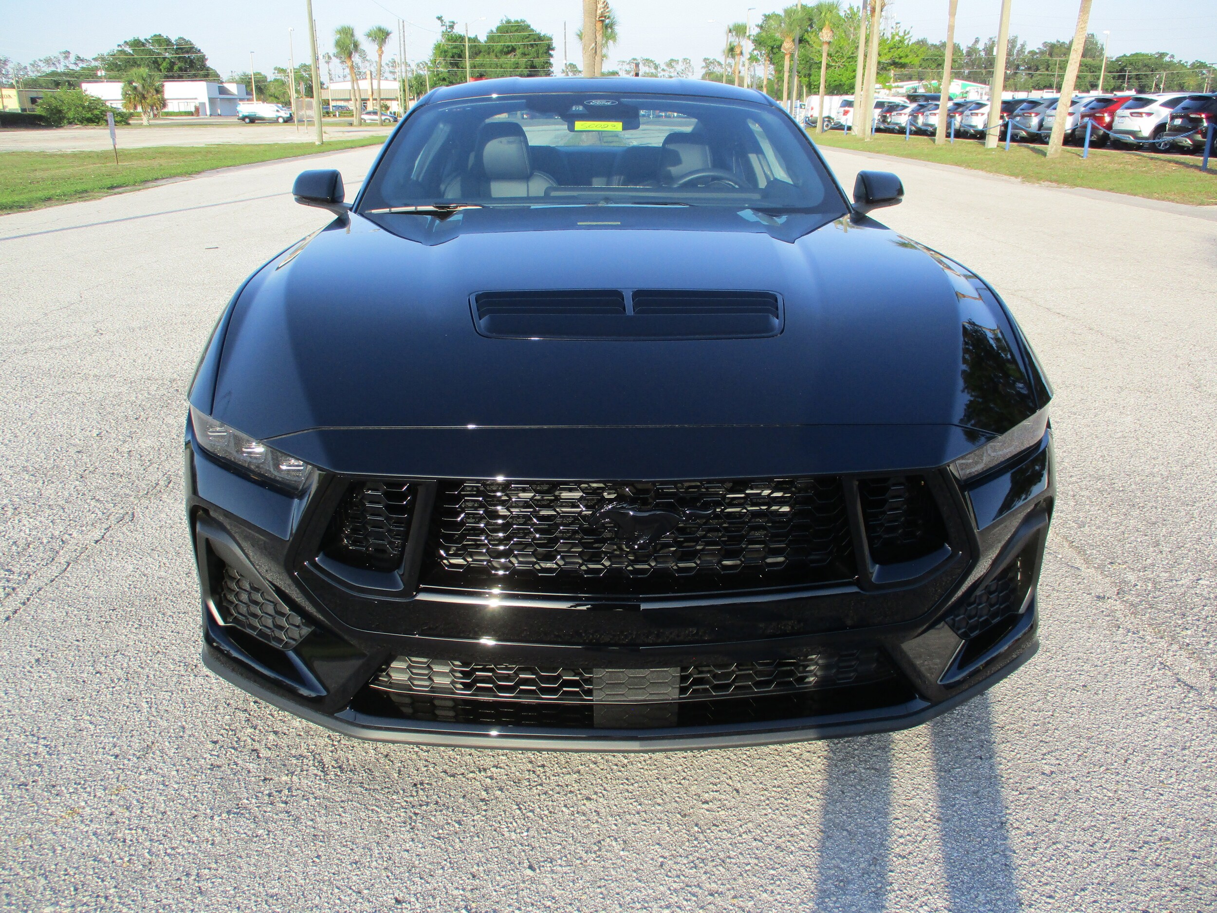 2025 Ford Mustang GT Premium photo 2