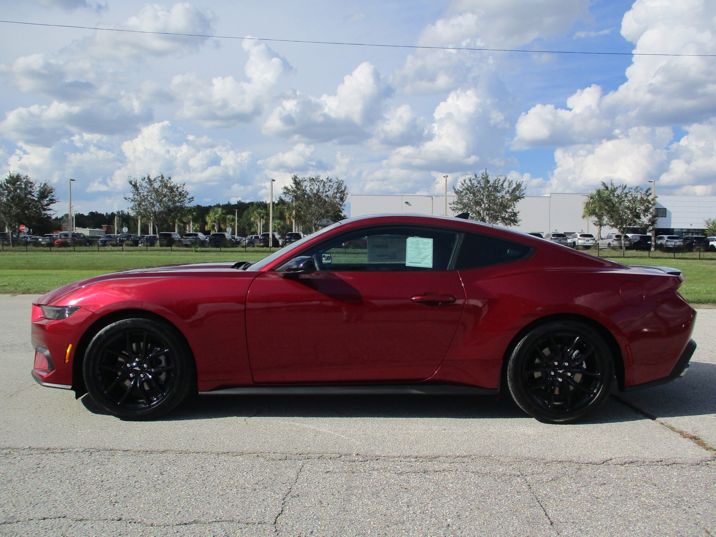 2025 Ford Mustang EcoBoost Premium photo 4