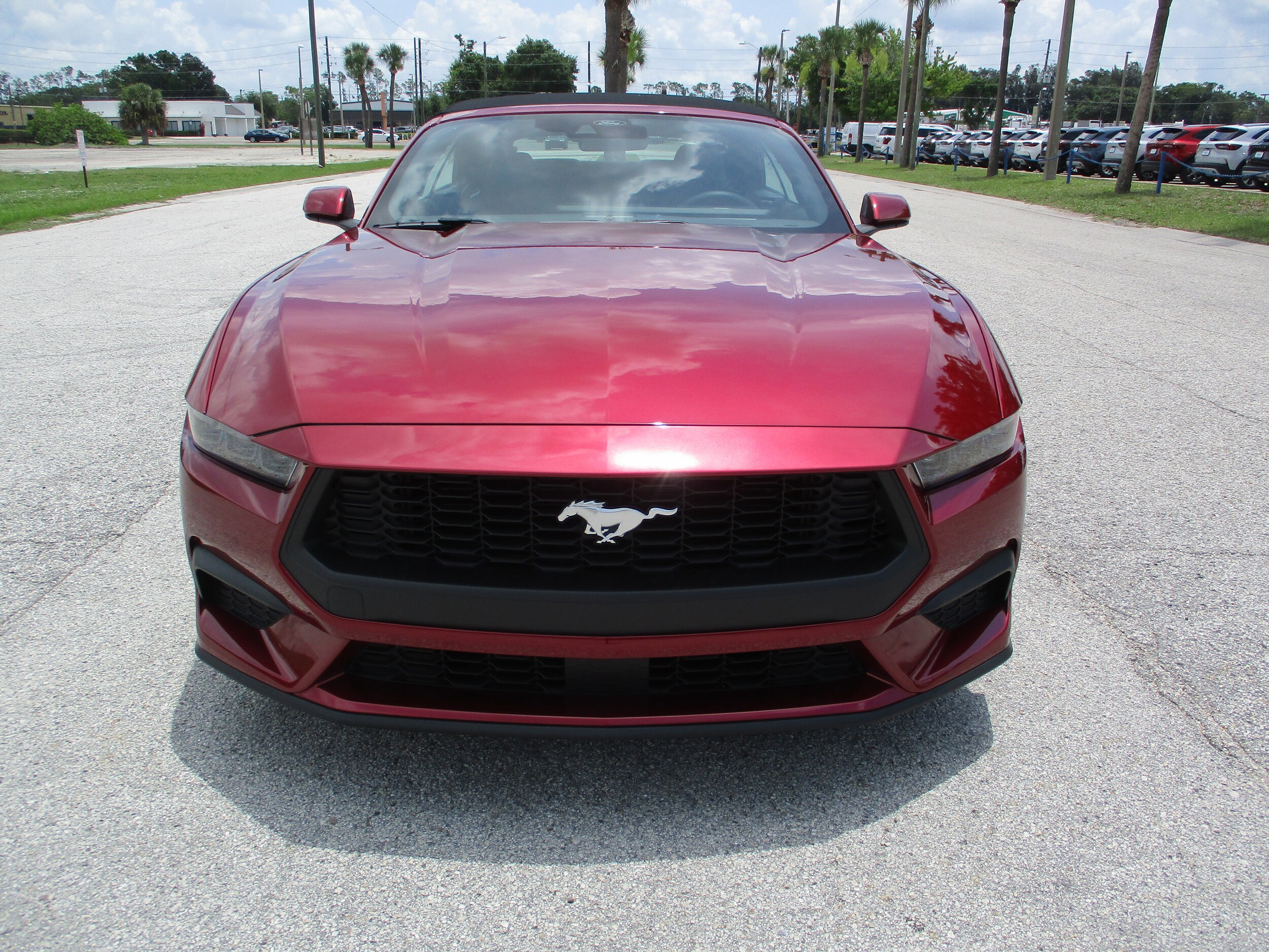 2025 Ford Mustang EcoBoost Premium Convertible photo 2
