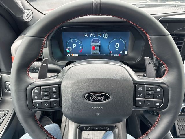 2025 Ford F-150 Raptor - Photo 14
