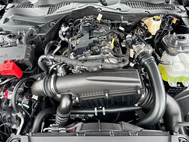 2026 Ford Mustang EcoBoost Premium Fastback - Photo 26