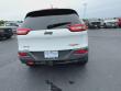2017 Jeep Cherokee Trailhawk 4x4 SUV