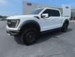 2023 Ford F-150 Raptor Truck SuperCrew Cab