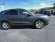 2020 Ford Escape SE SUV