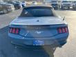 2024 Ford Mustang Ecoboost Premium Convertible