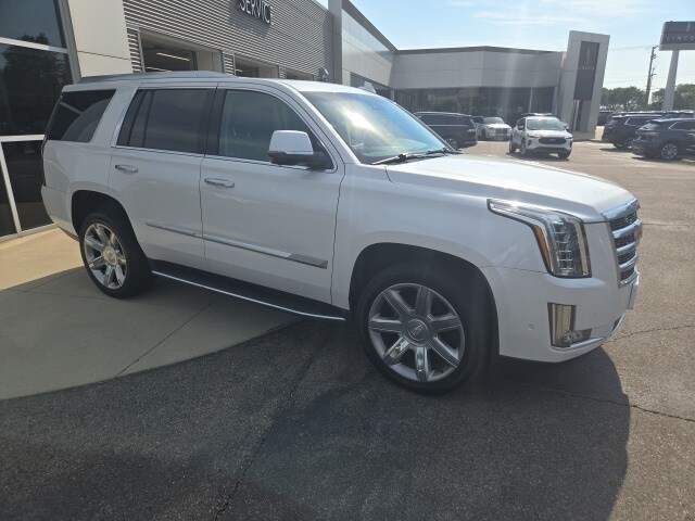 2018 Cadillac Escalade Luxury photo 2