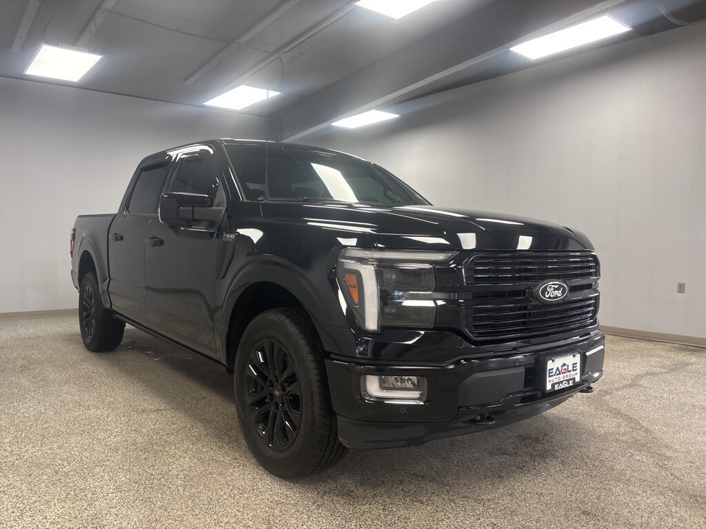 2024 Ford F-150 Platinum photo 2