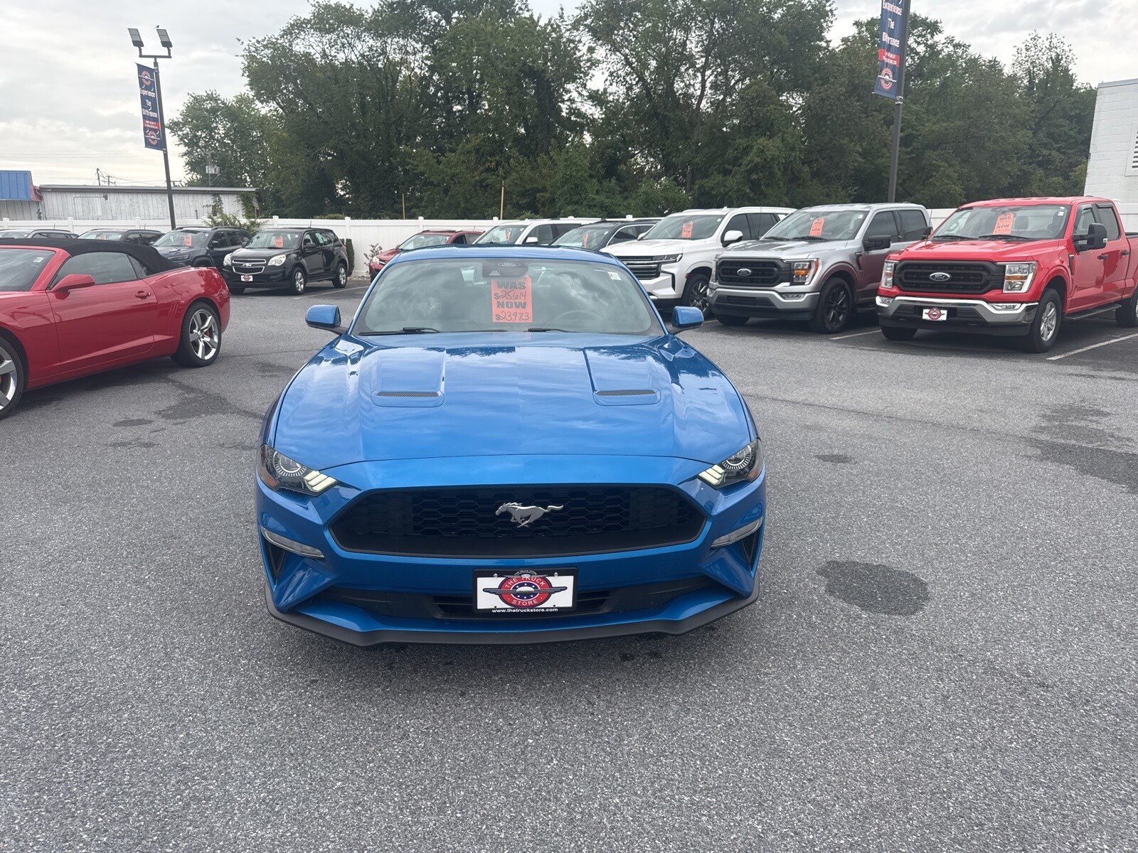 2021 Ford Mustang photo 3