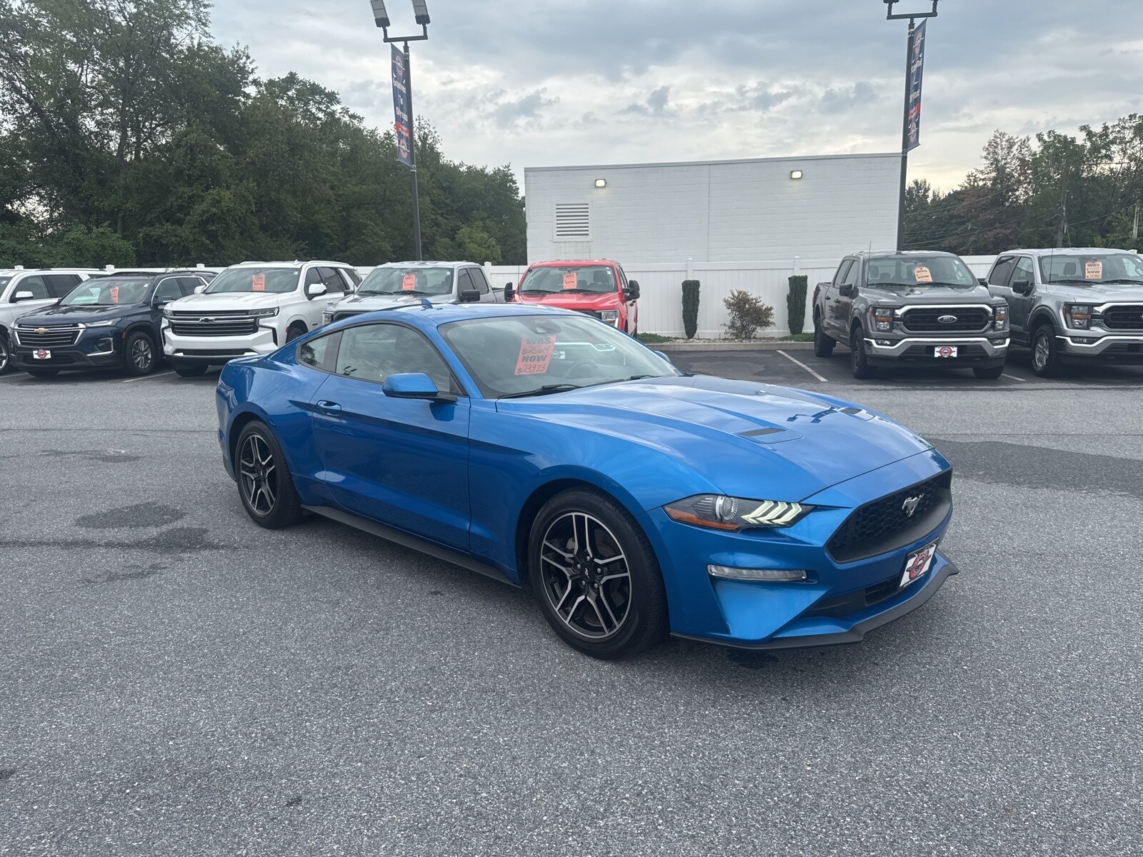 2021 Ford Mustang photo 4