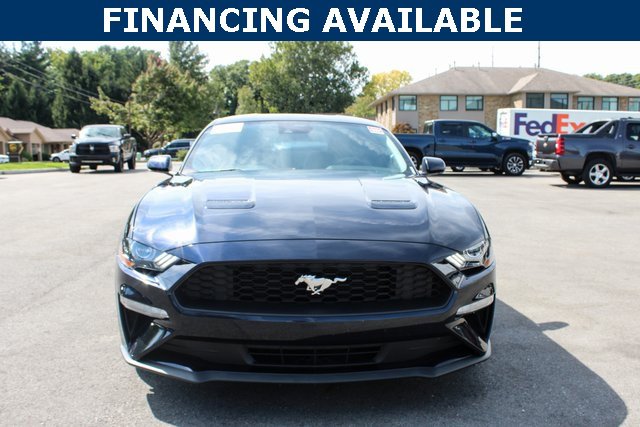 2021 Ford Mustang EcoBoost photo 3