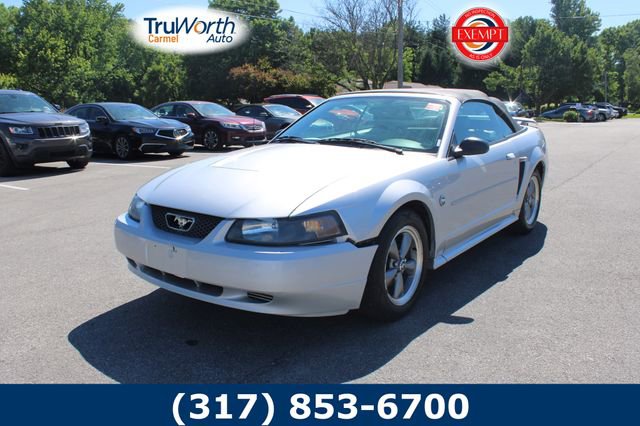 2004 Ford Mustang Deluxe's photo