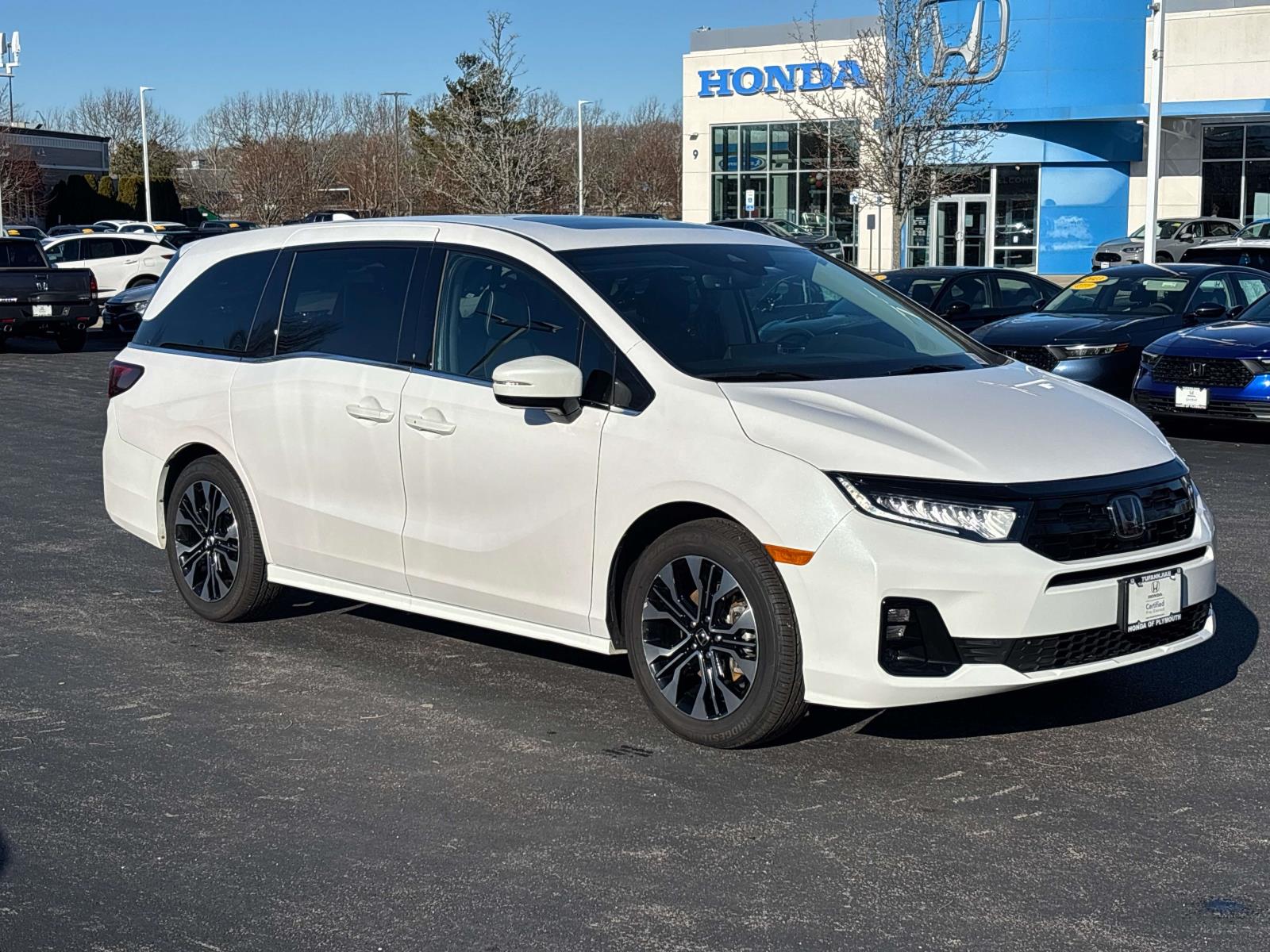 2025 Honda Odyssey Elite's photo
