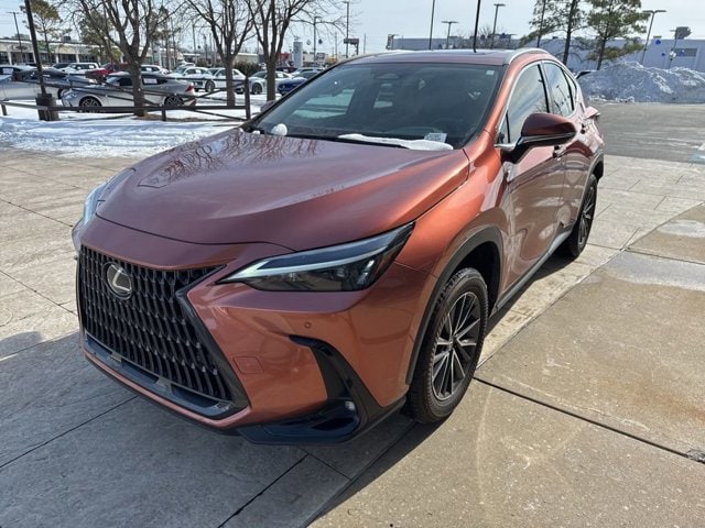 2025 Lexus NX 250
