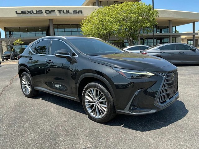 2024 Lexus NX