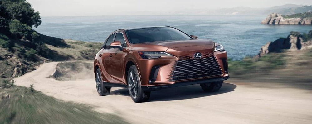 2025 Lexus RX Driving