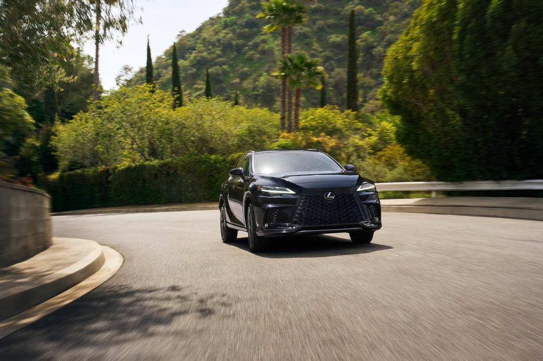 Lexus-RX