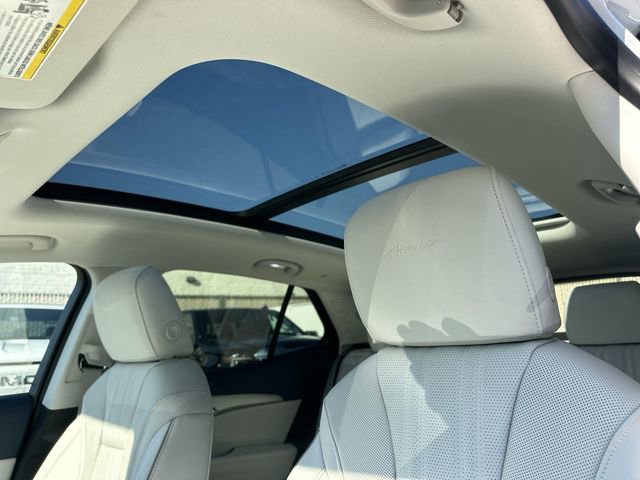 2026 Buick Envision Avenir photo 6