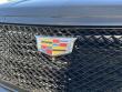 2021 CADILLAC Escalade ESV Sport Platinum 4x4 SUV