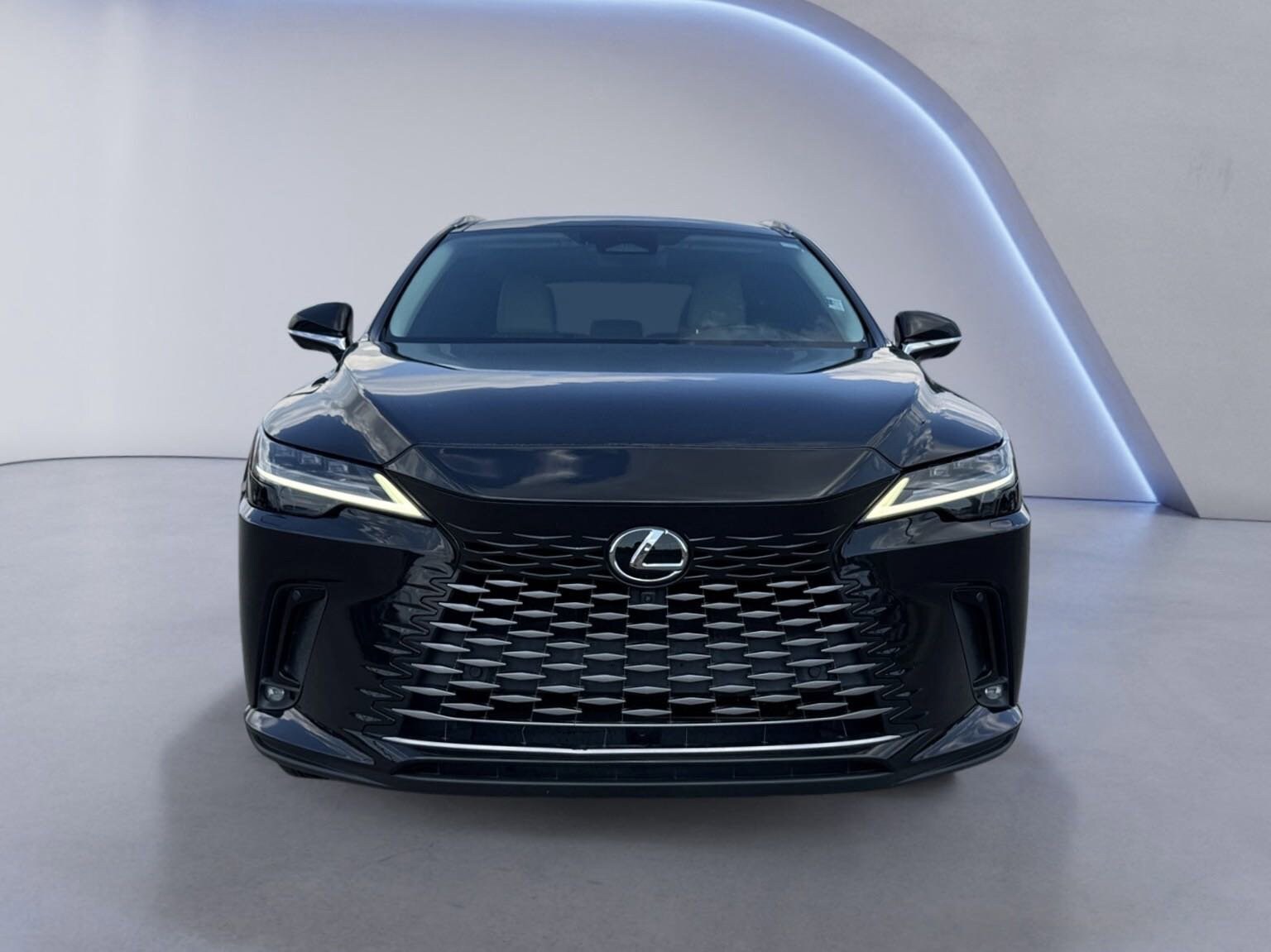 2023 Lexus RX 350 Luxury AWD photo 2