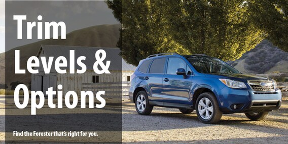 14 Subaru Forester Trim Levels And Options Twin City Subaru Near Montpelier Vermont