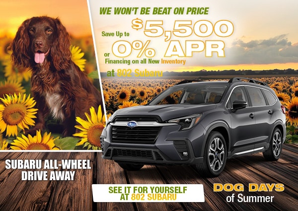 Unbeatable Deals from 802 Subaru