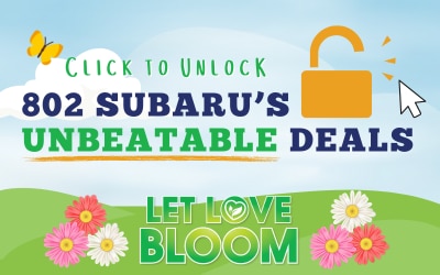 Unlock Unbeatable Deal from 802 Subaru
