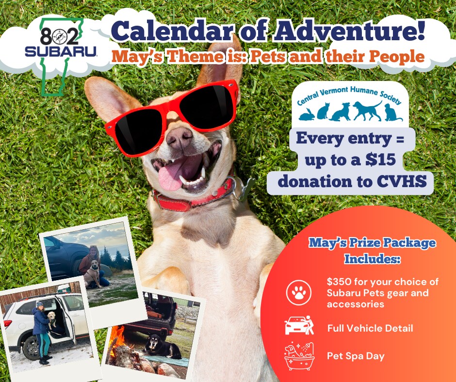 802 Subaru Calendar of Adventure 802 Subaru Calendar of Adventure