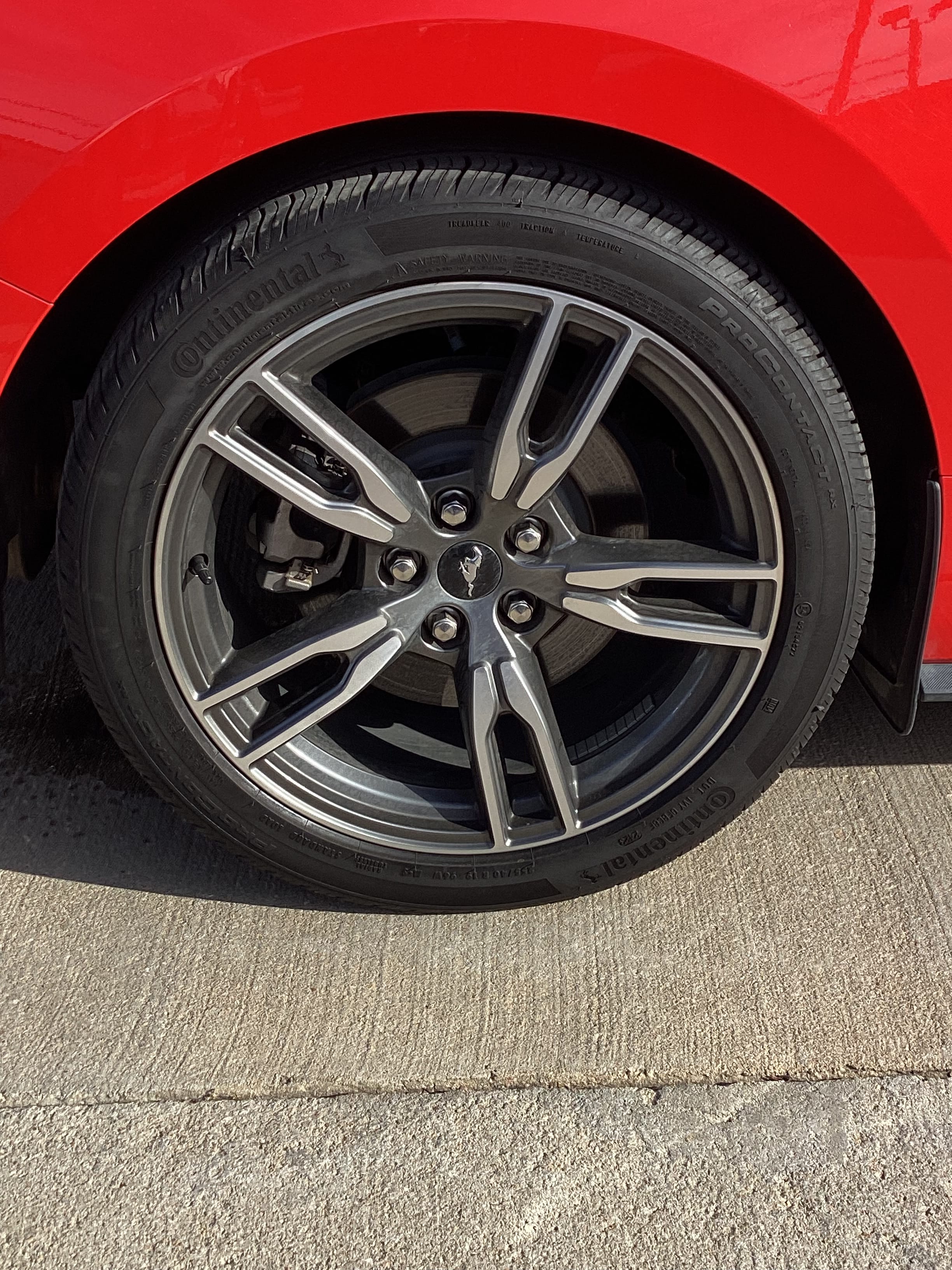 2024 Ford Mustang EcoBoost - Photo 7