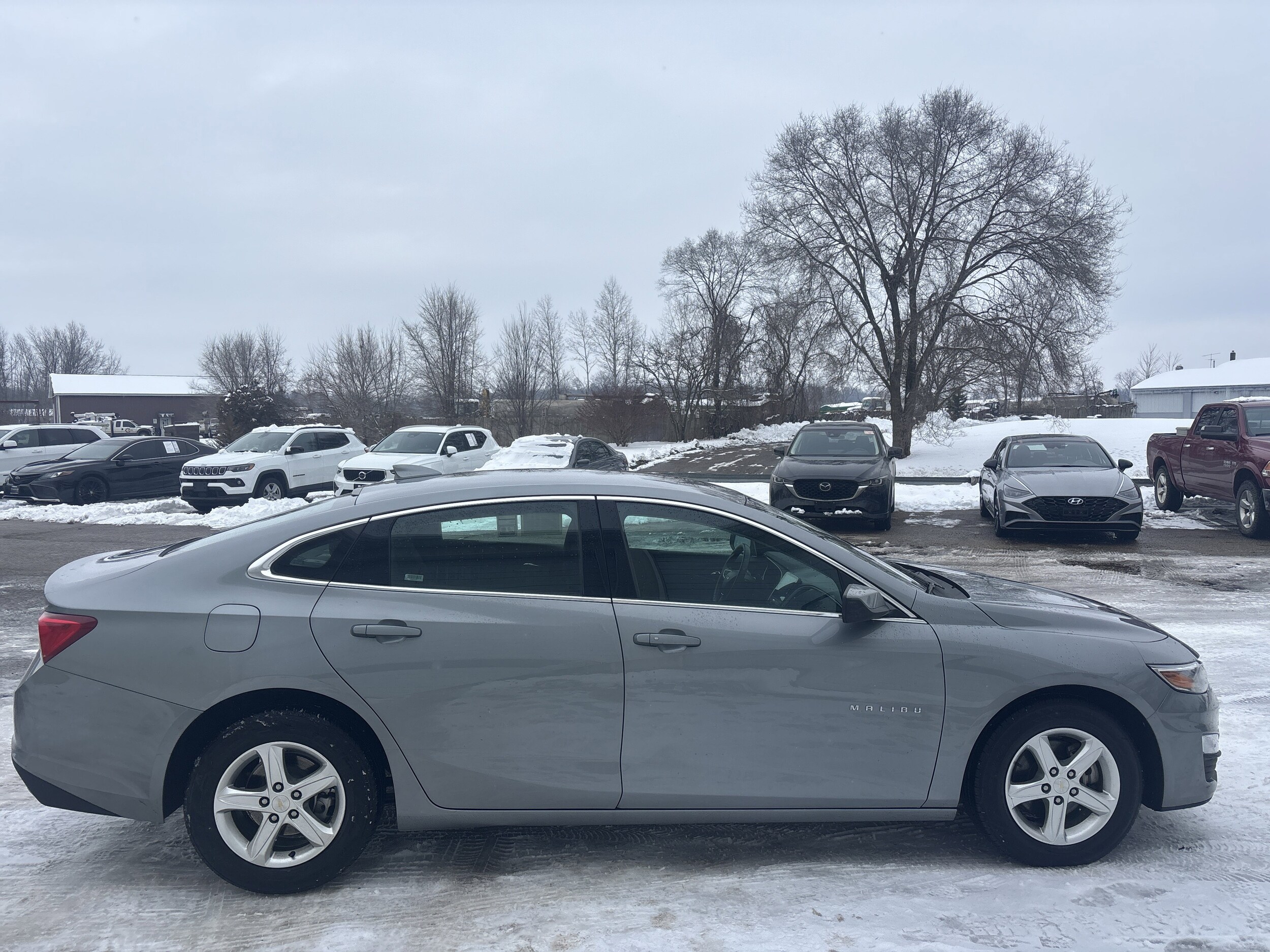 2023 Chevrolet Malibu 1LT photo 2