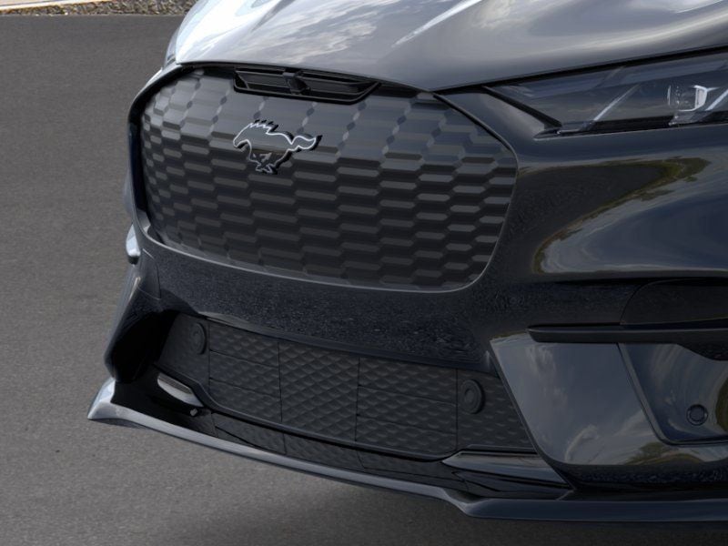 2025 Ford Mustang Mach-E Premium - Photo 17