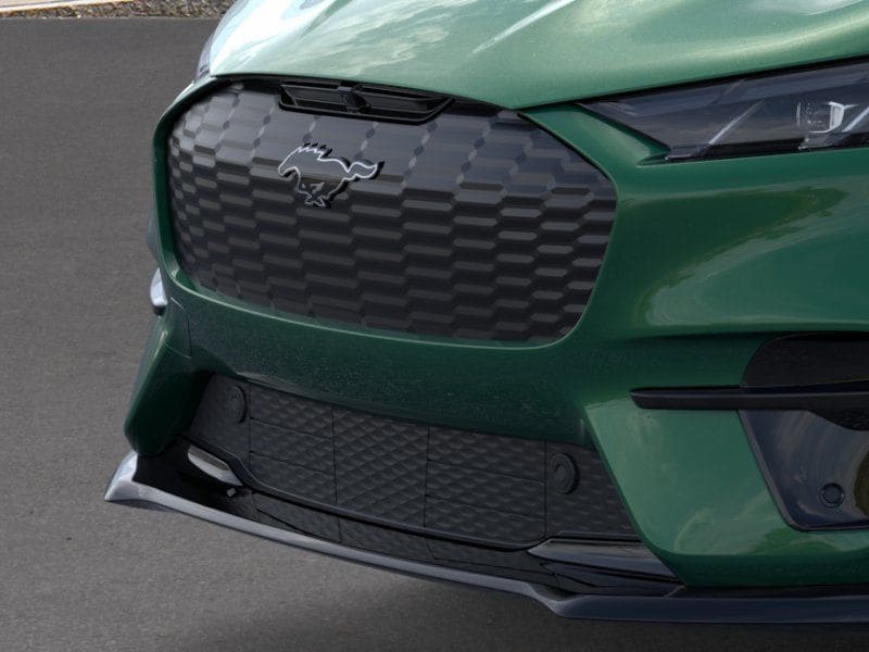 2025 Ford Mustang Mach-E GT - Photo 17