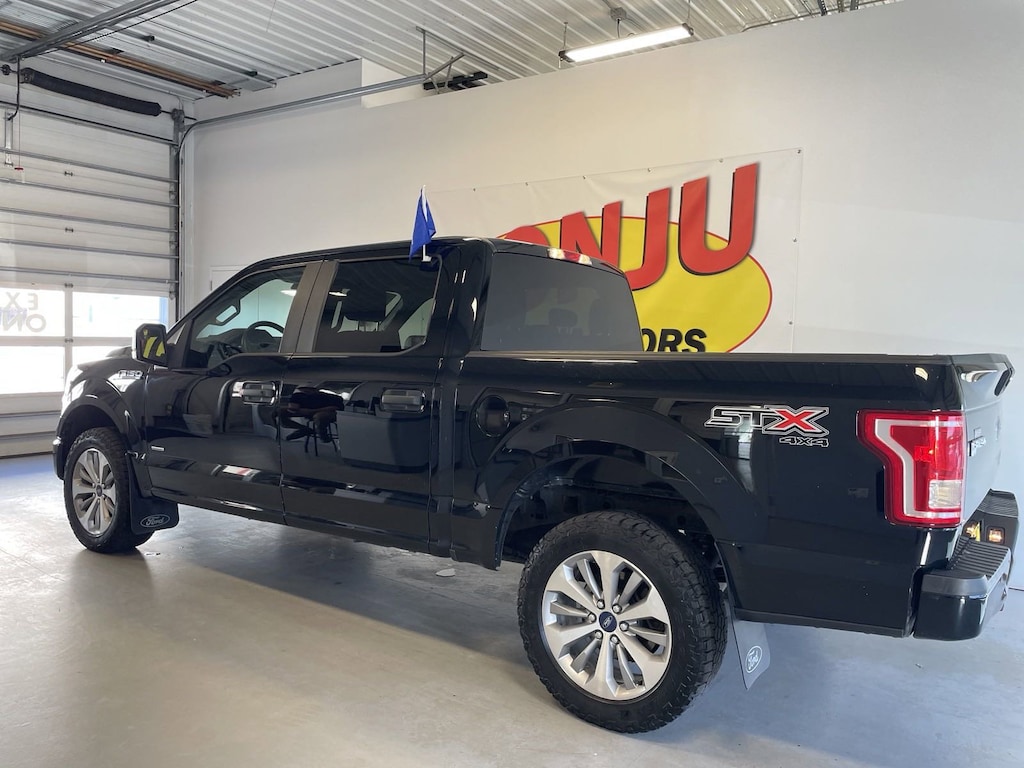 Used 2017 Ford F150 For Sale at Sonju Two Harbors VIN 1FTEW1EG8HKE51466